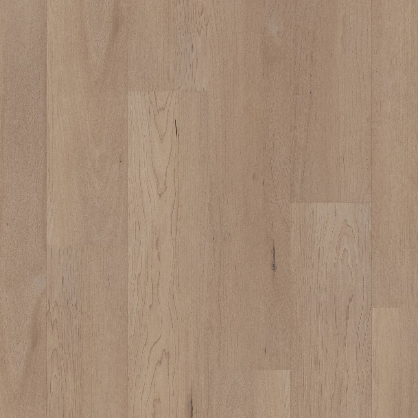 CORETEC PRO PREMIUM - HATFIELD MAPLE