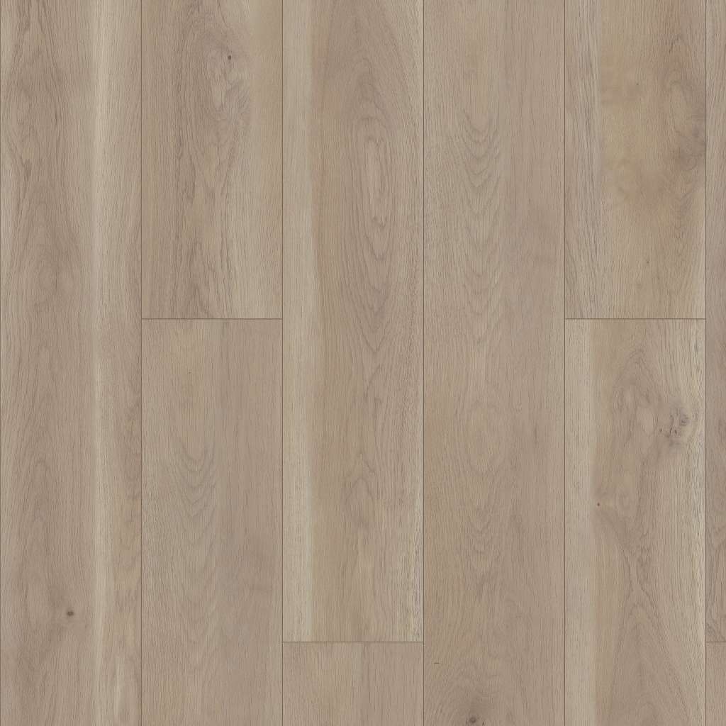 Wisteria Shaw Floorte PRO Paragon HD + Natural Bevel Vinyl Plank