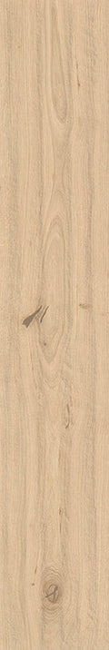 Modern Oak