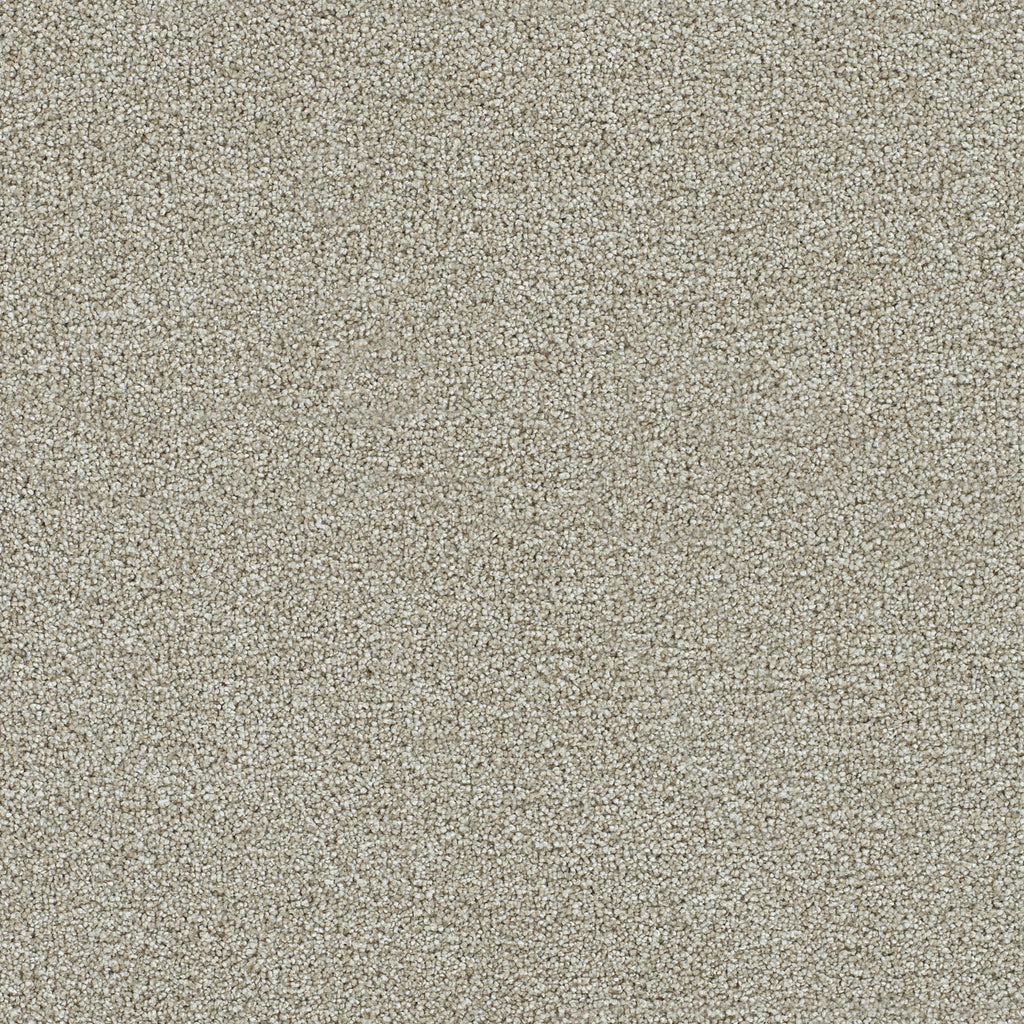 Clearwater II - Barnwood