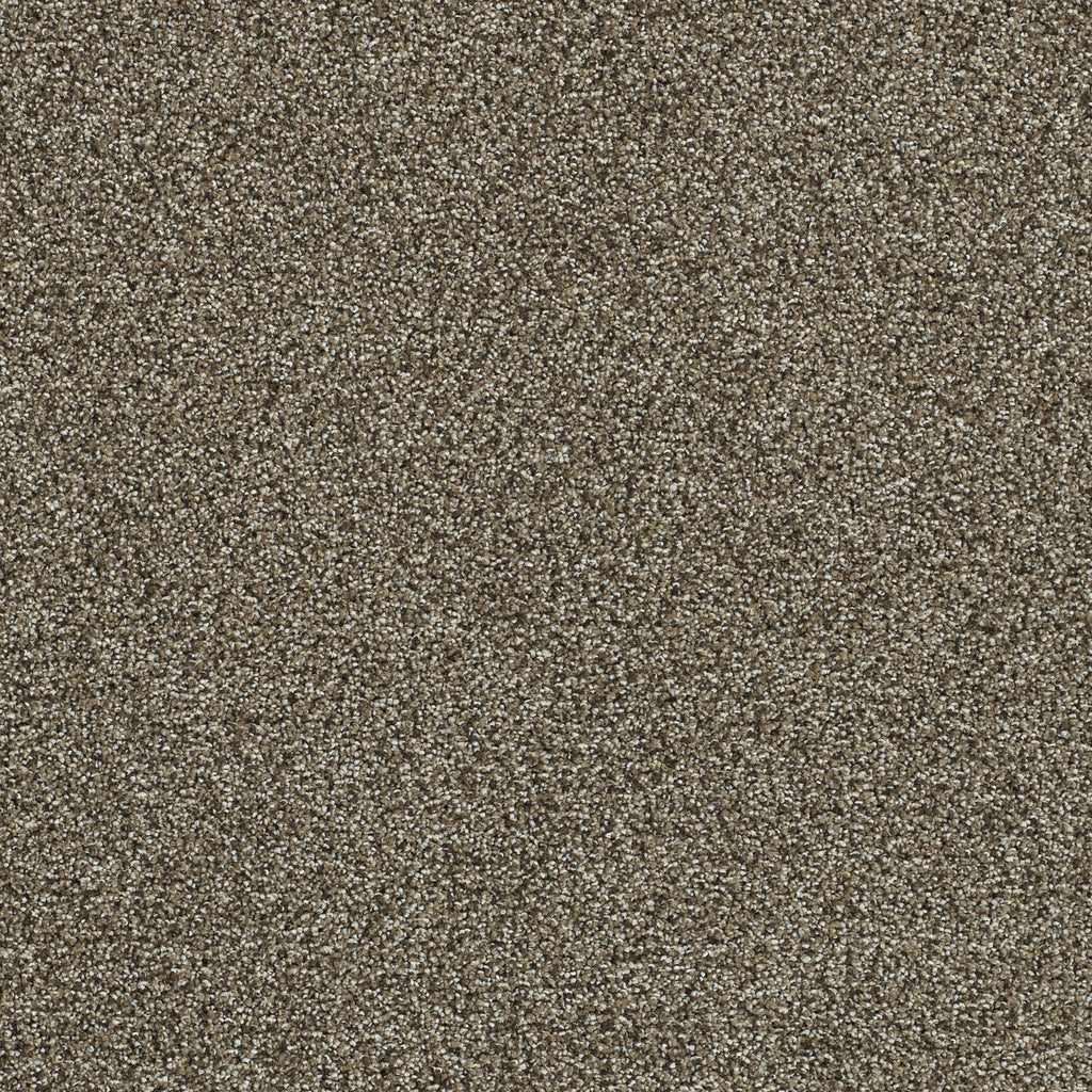 Clearwater II - Dark Truffle