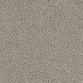 Tracker Carpet - Cameo