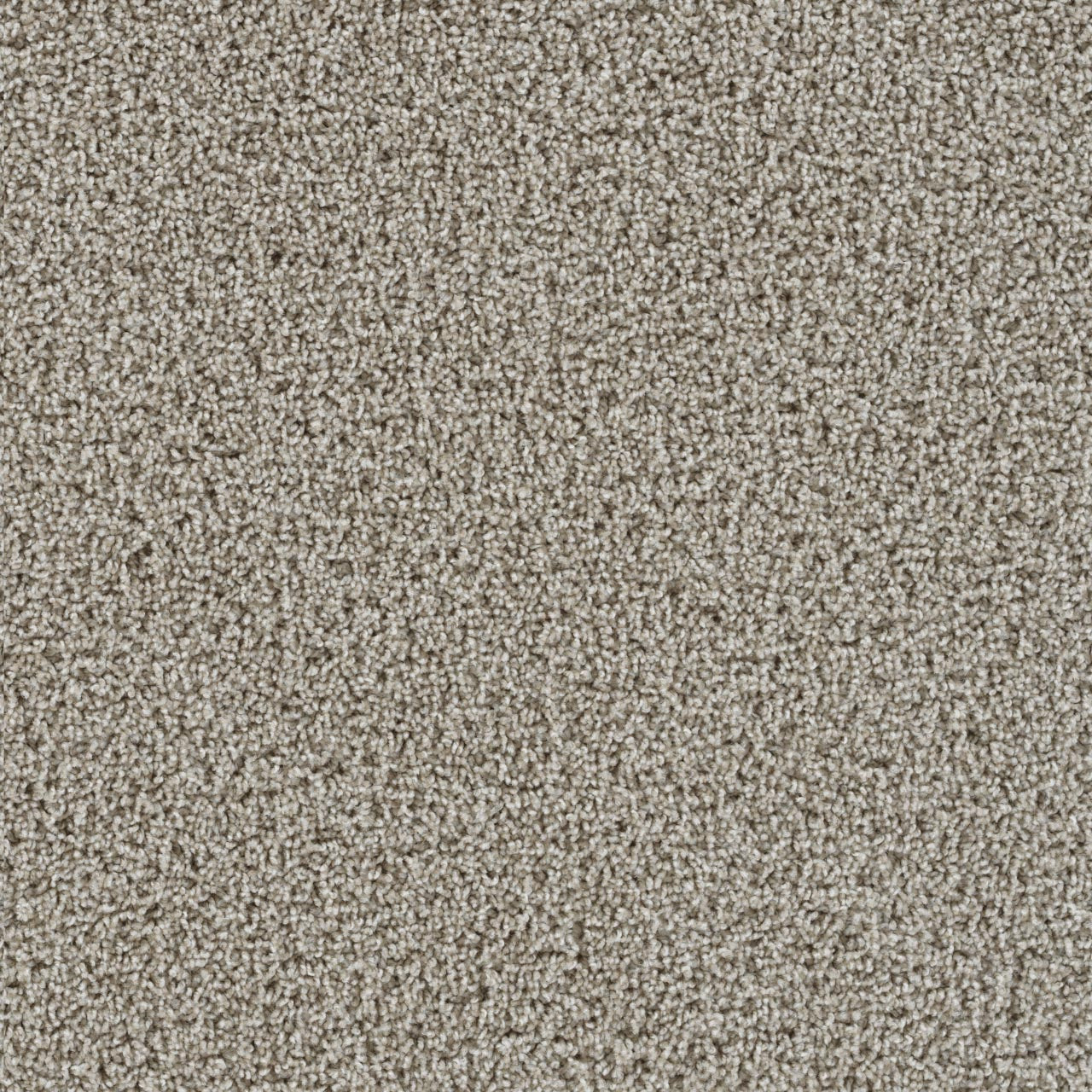 Tracker Carpet - Cameo