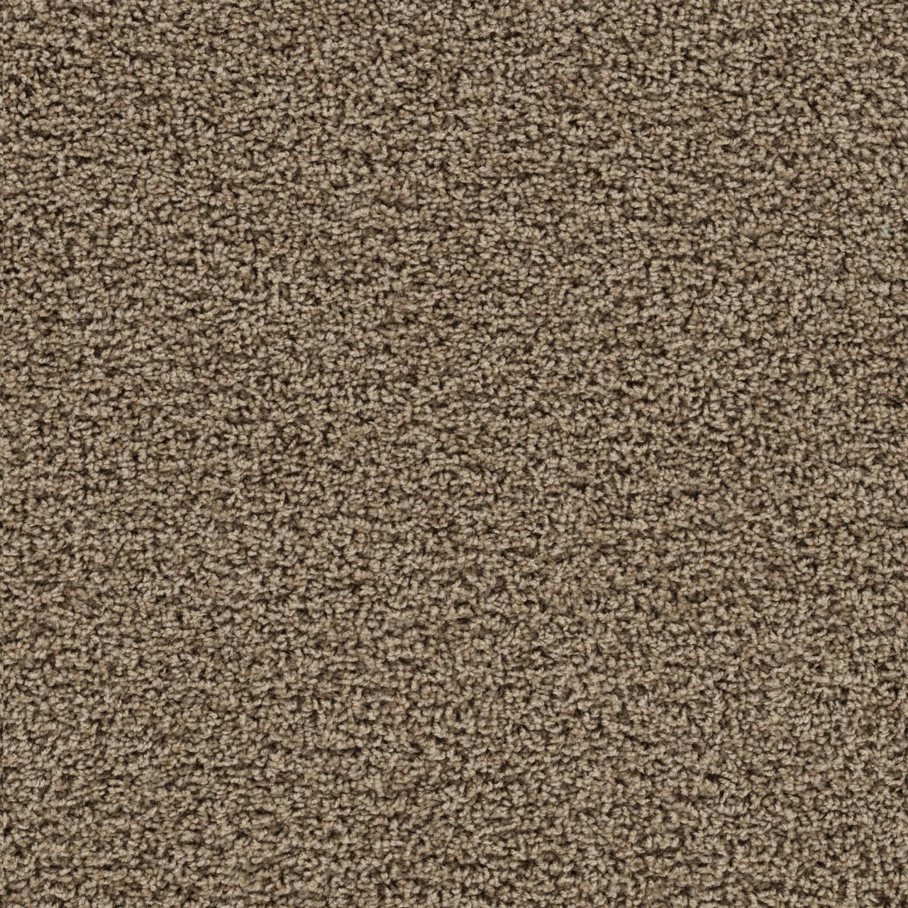 Tracker Carpet - Honey Beige