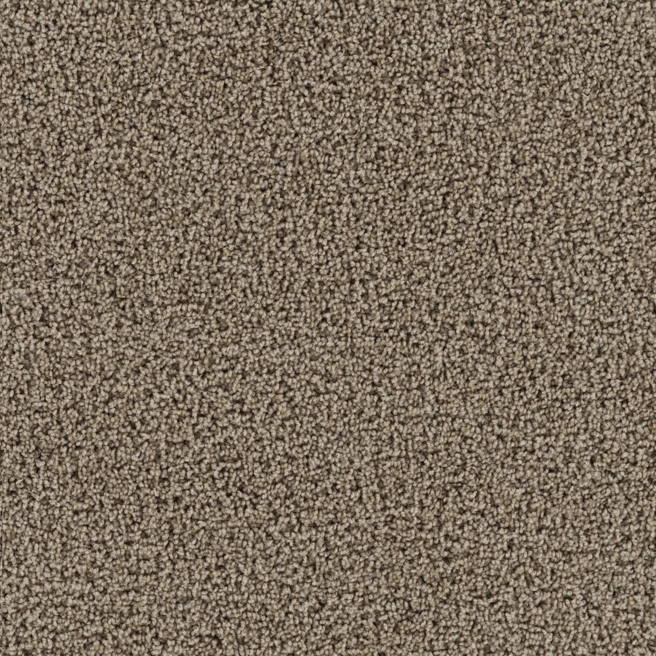 Tracker Carpet - Doeskin