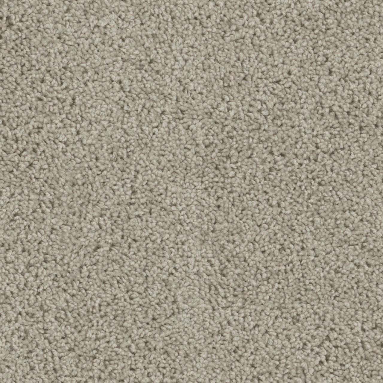 Tracker Carpet - Flax Beige