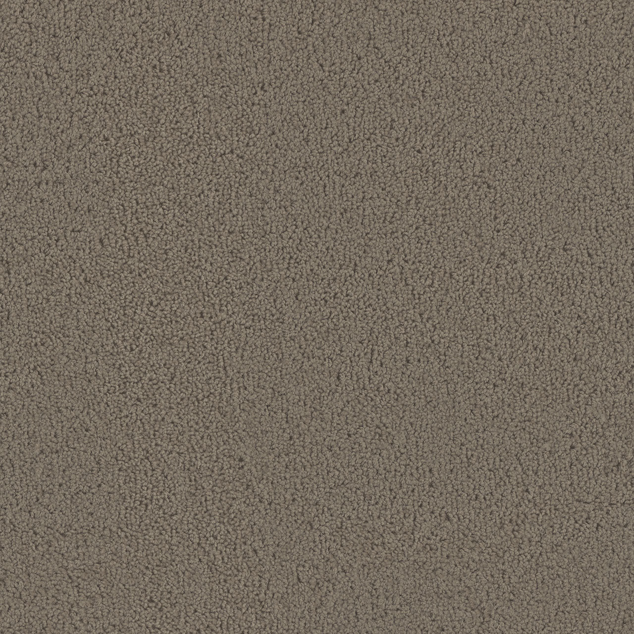 Tracker Carpet - Barnwood