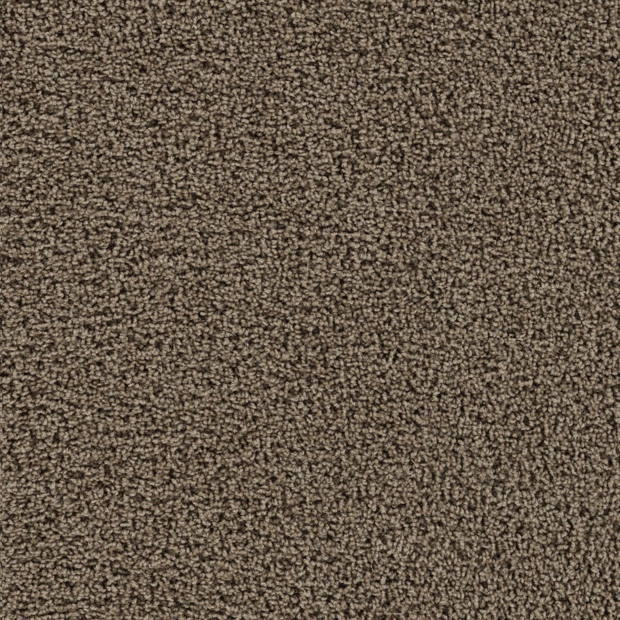 Tracker Carpet - Taupe