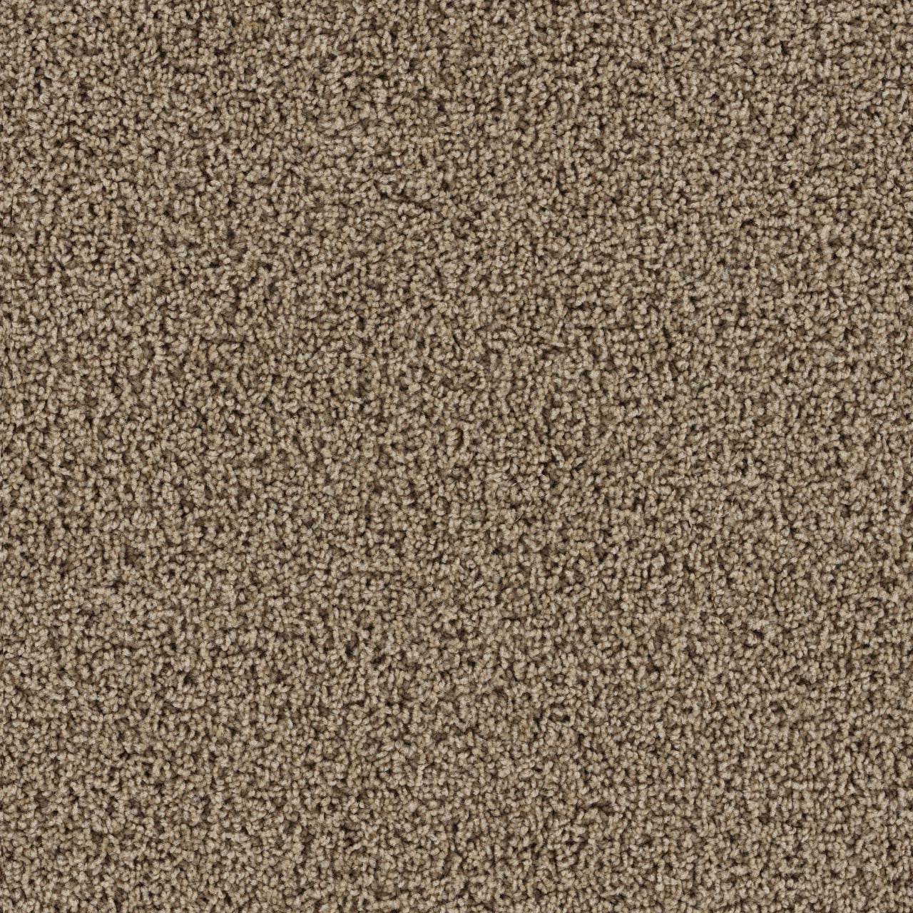 Tracker Carpet - Sandstone