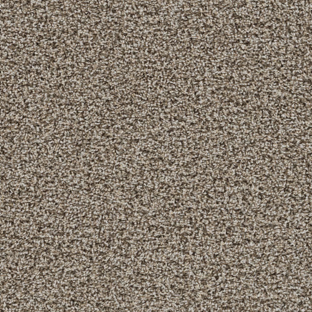 Tracker Carpet - Almond