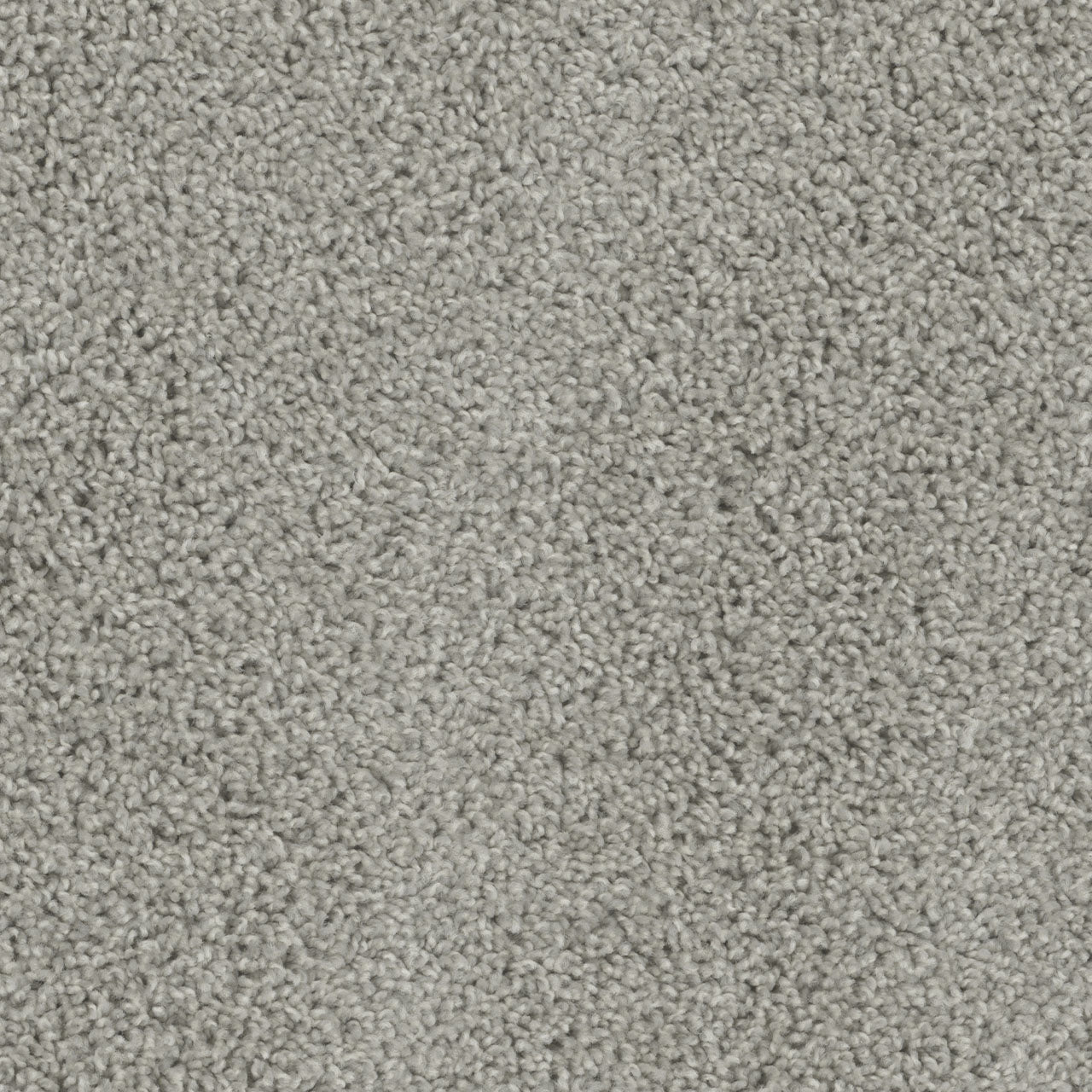 Tracker Carpet - Dove