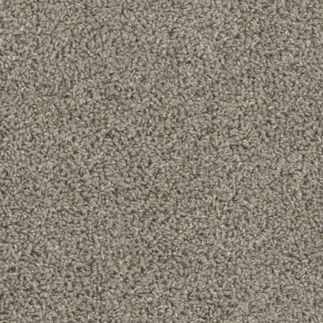 Tracker Carpet - Cinder