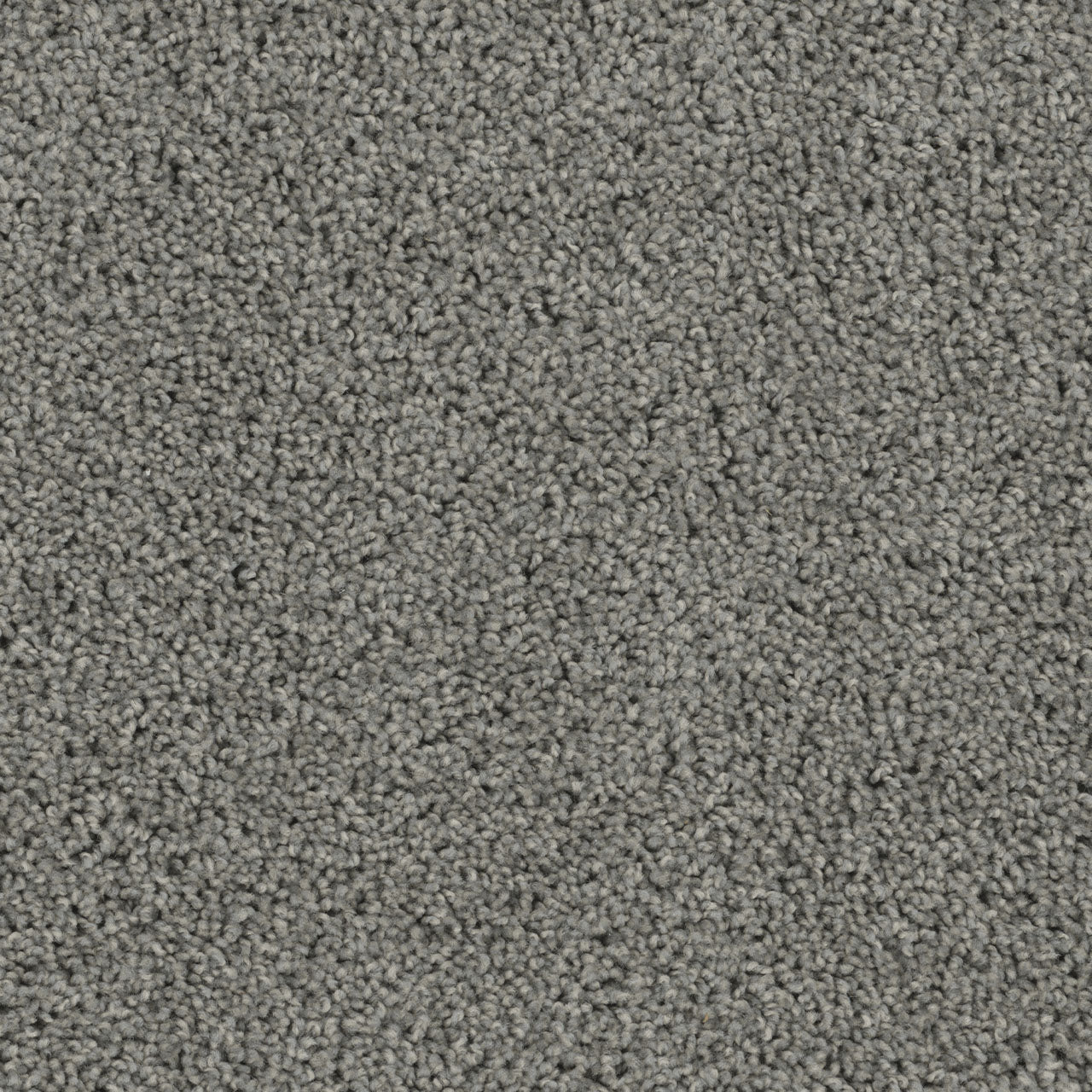 Tracker Carpet - Bayside