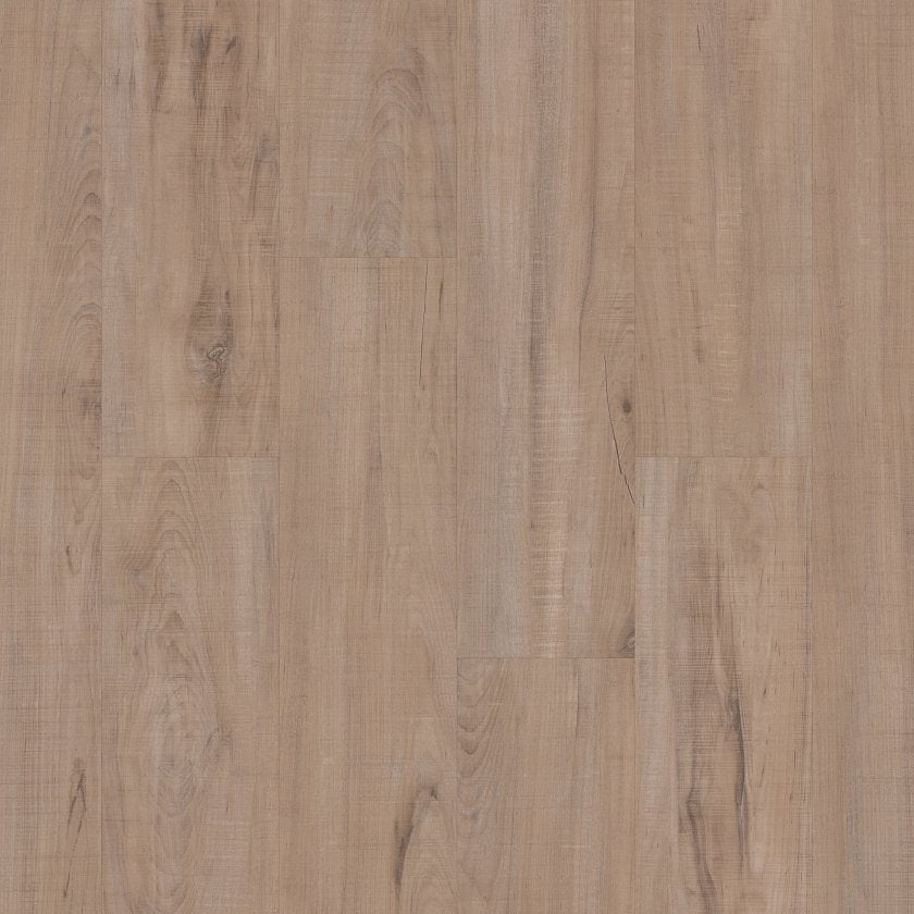 ANVIL PLUS CHATTER OAK MAIN