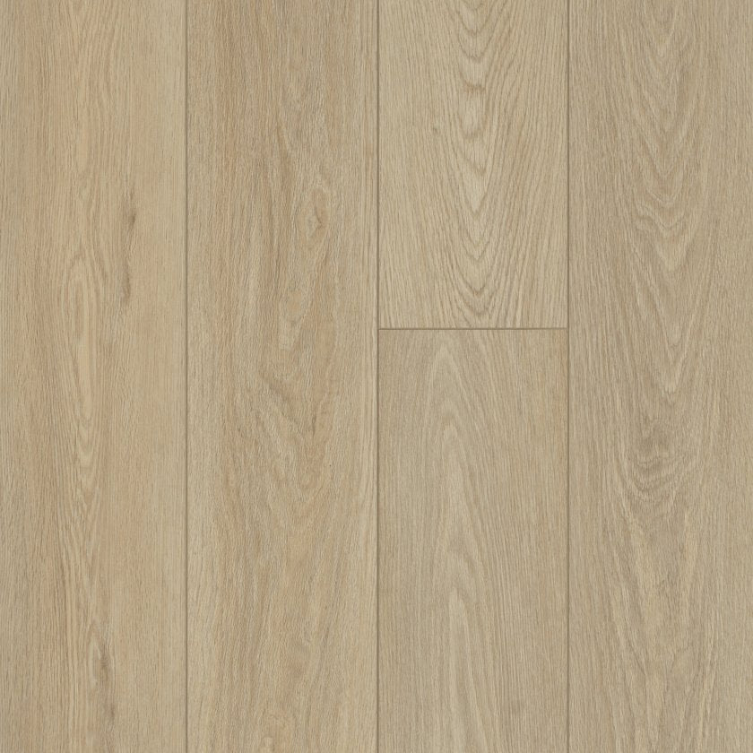 DISTINCTION PLUS TIMELESS OAK MAIN