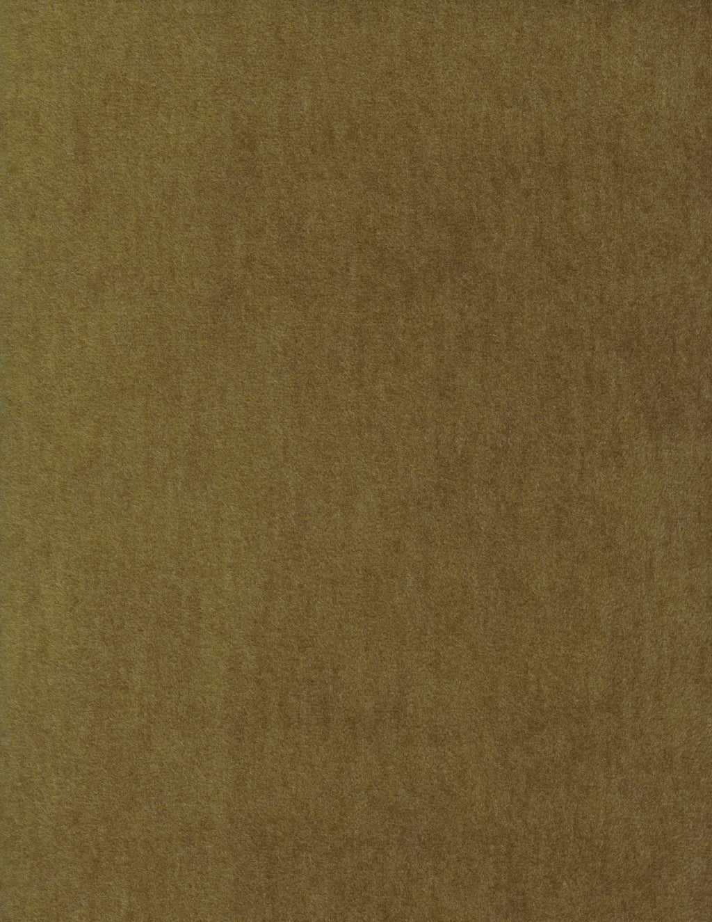 2115-70.jpg