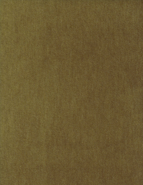 2115-70.jpg