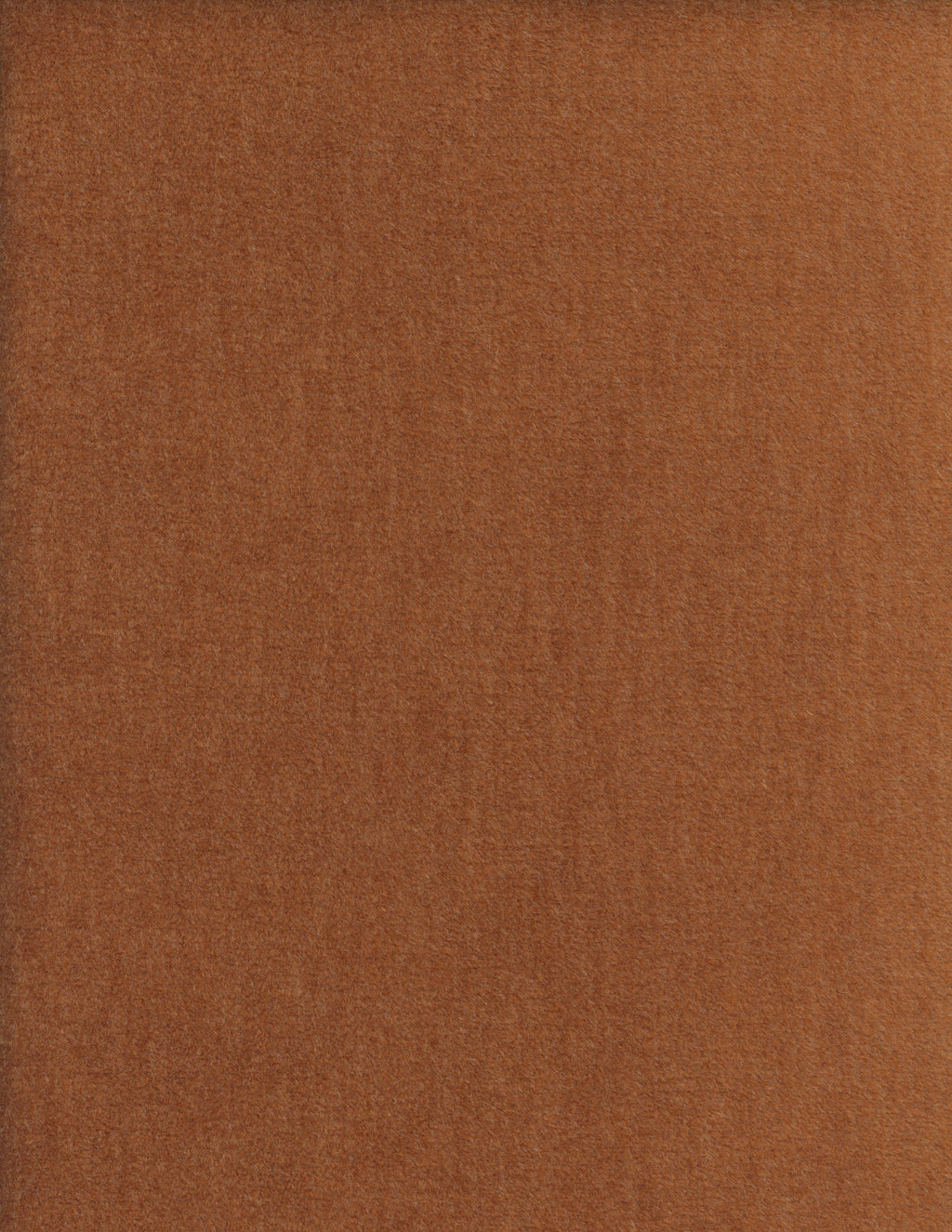 2115-80.jpg