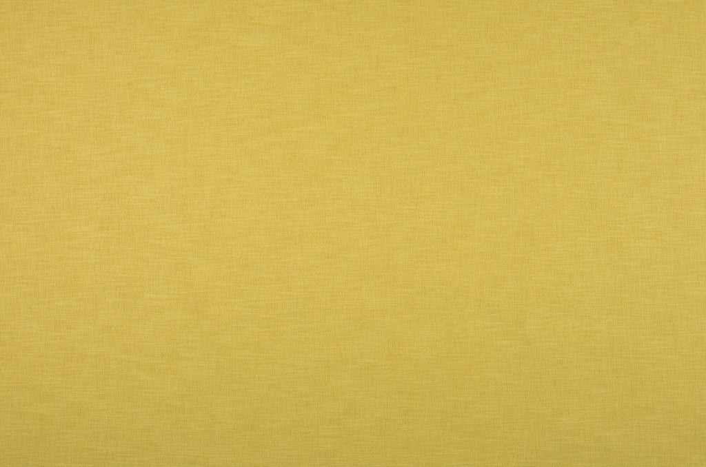 Remy-Mimosa