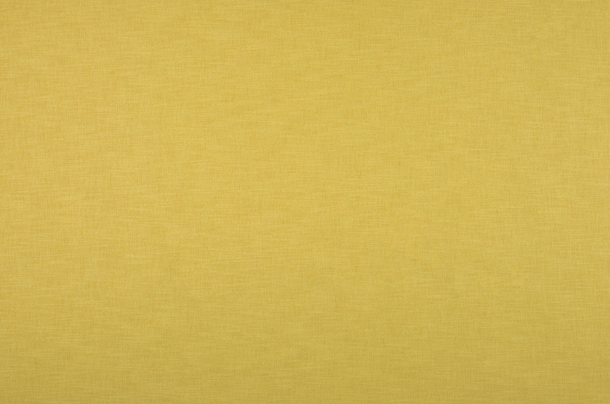 Remy-Mimosa