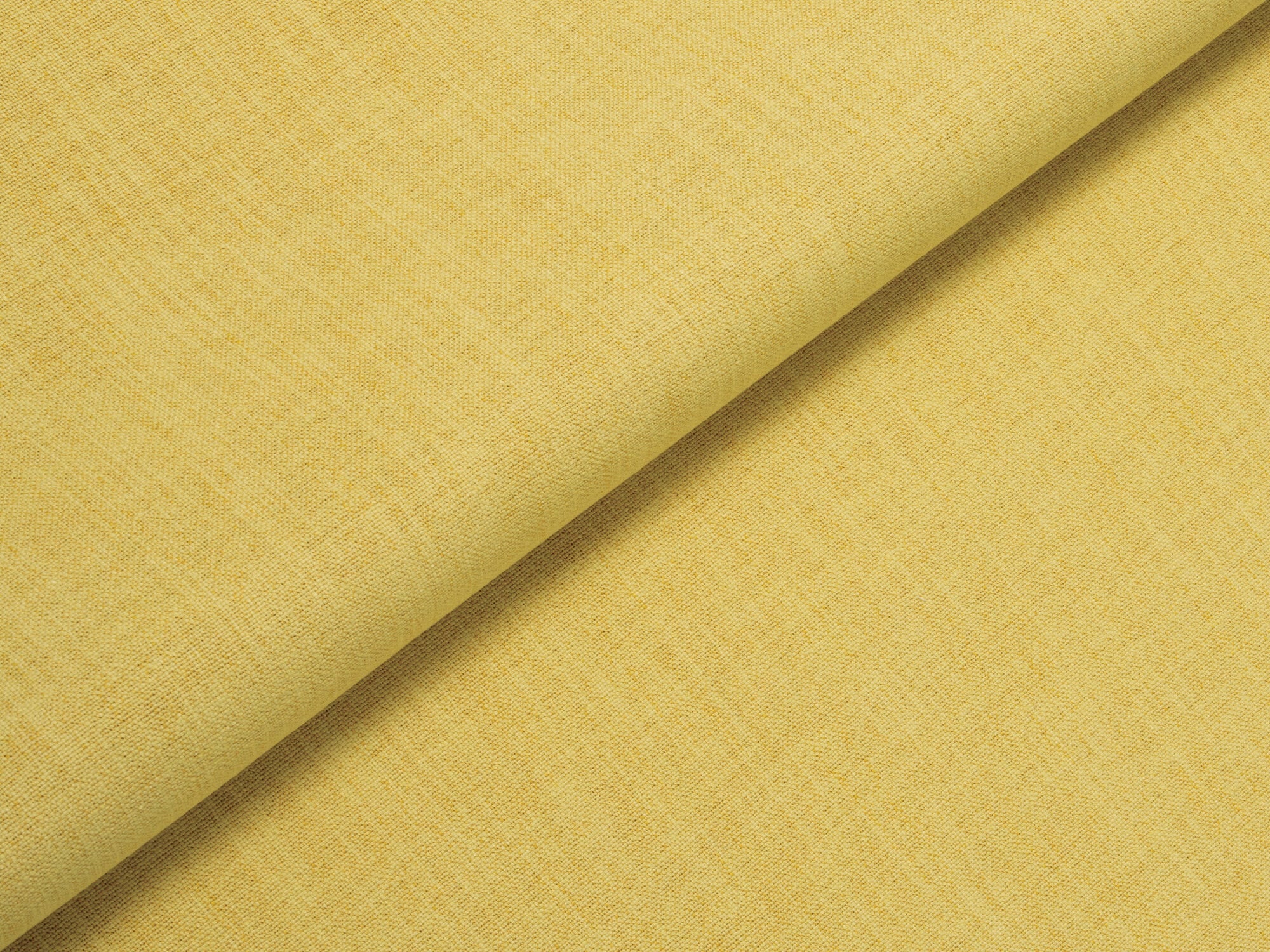 Remy-Mimosa Fold