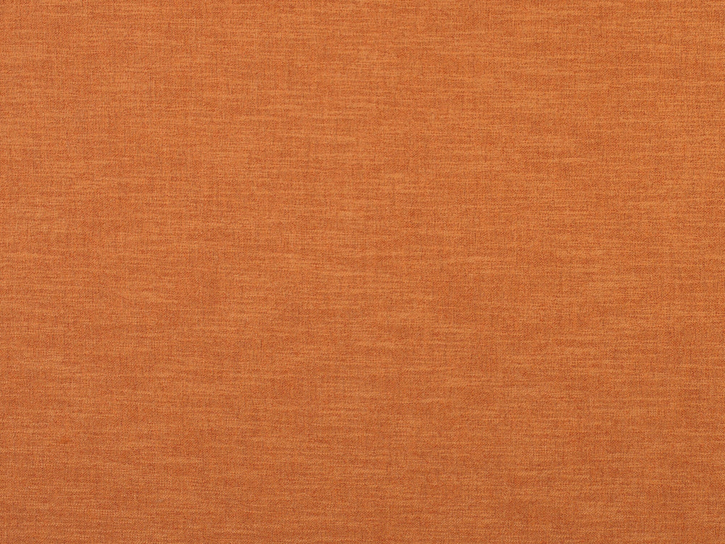 Remy-Tangerine Zoom