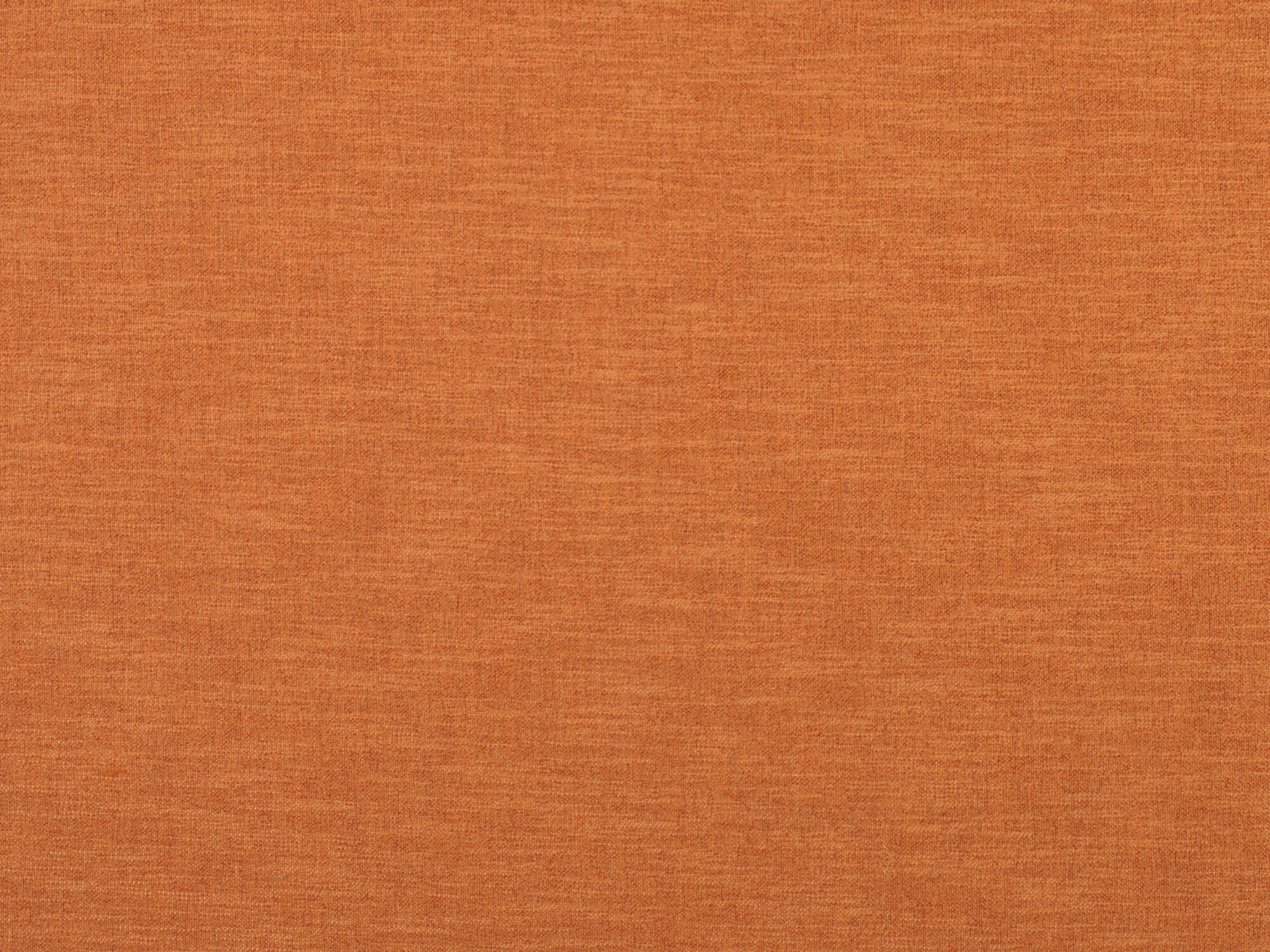 Remy-Tangerine Zoom