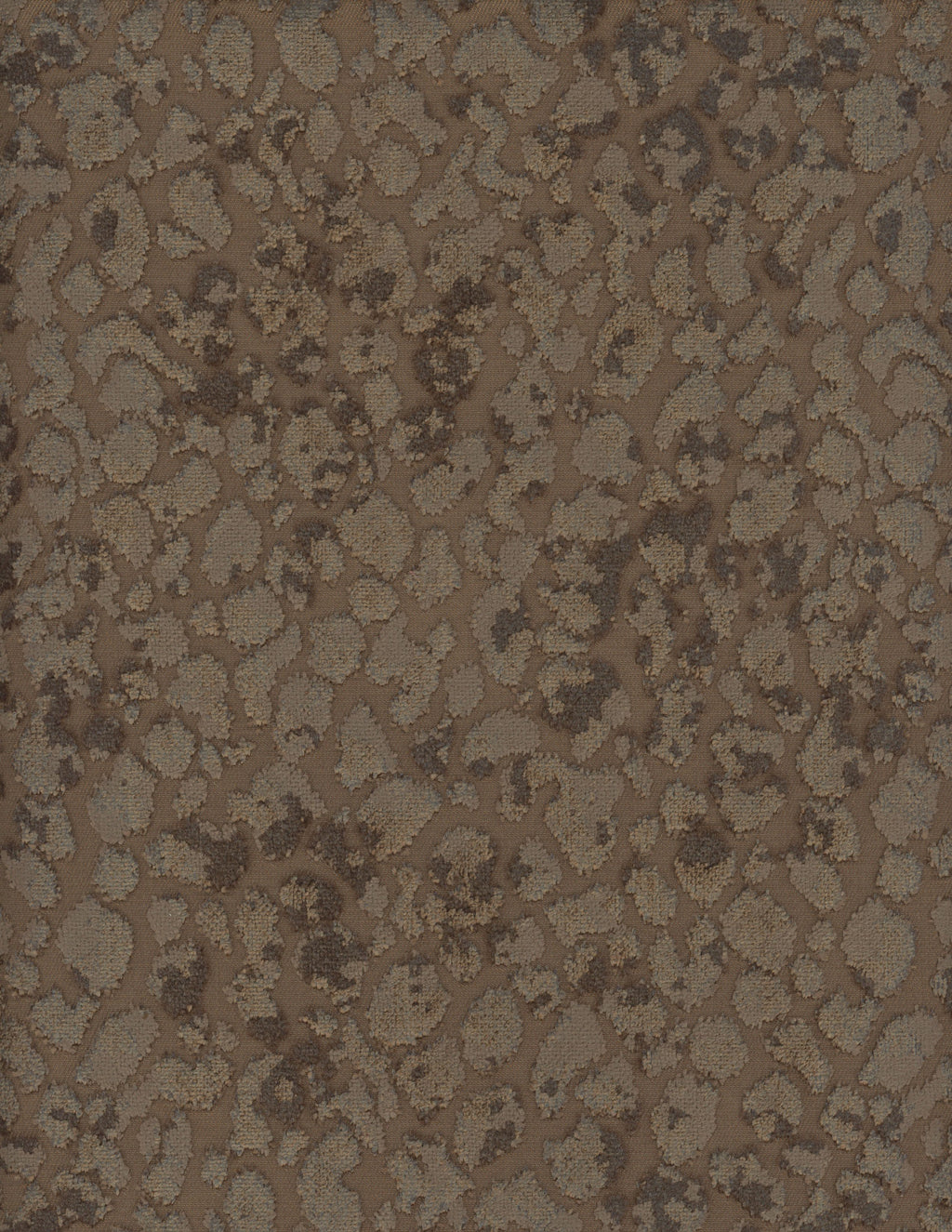 2164-80.jpg
