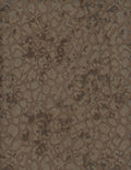 2164-80.jpg
