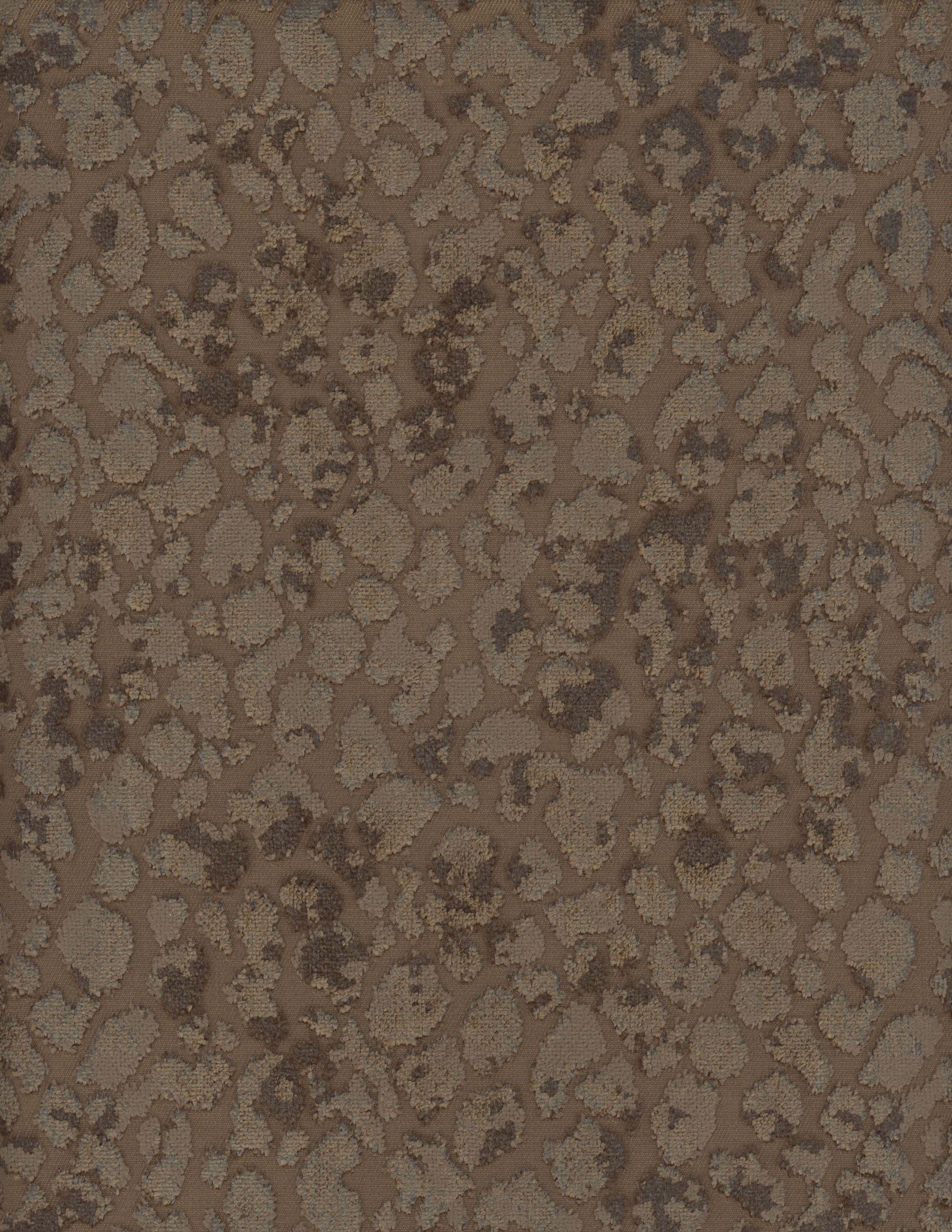 2164-80.jpg