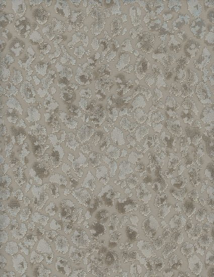 2164-85.jpg