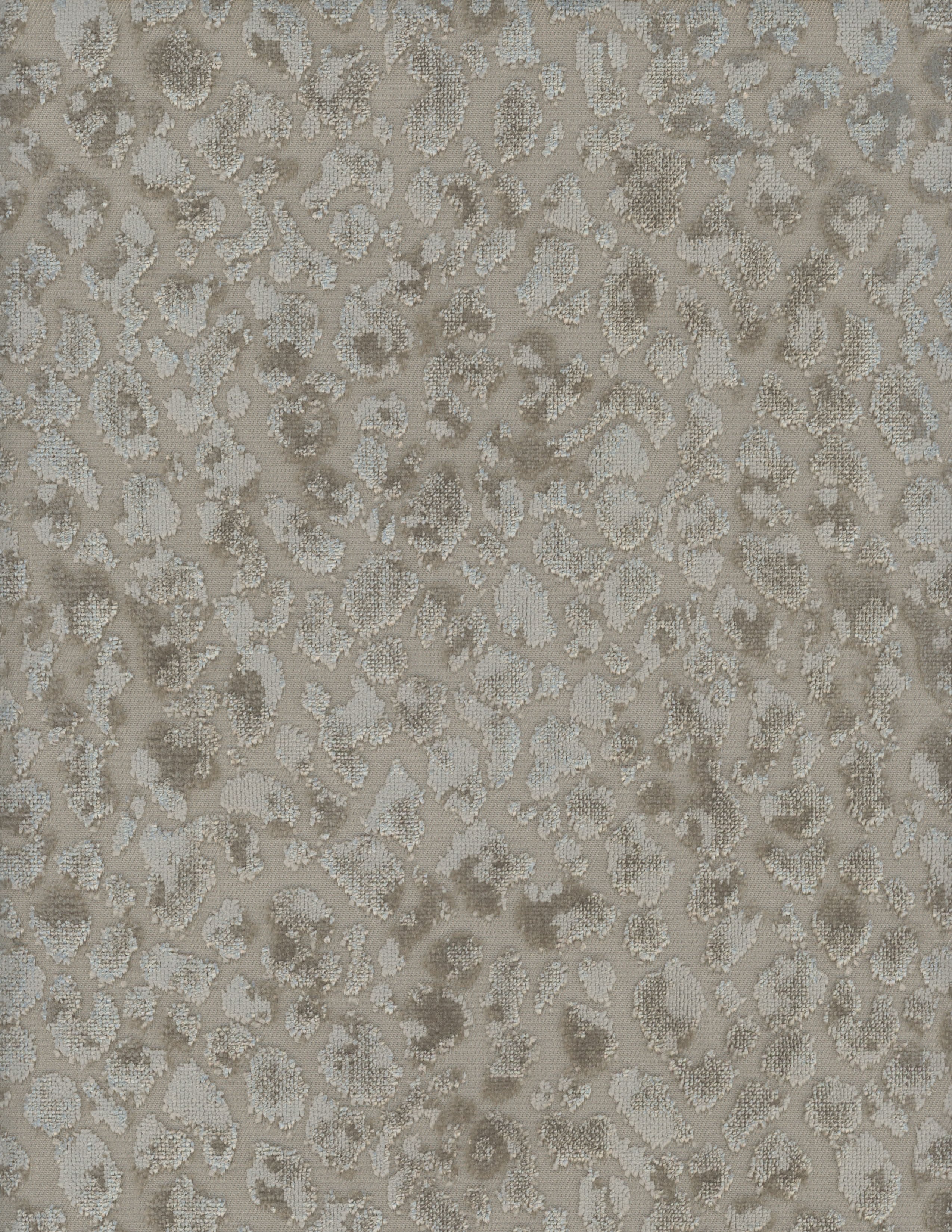 2164-85.jpg