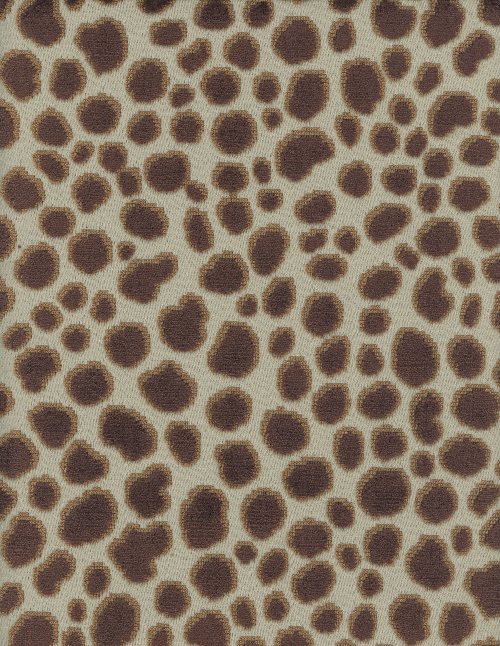 2180-80.jpg