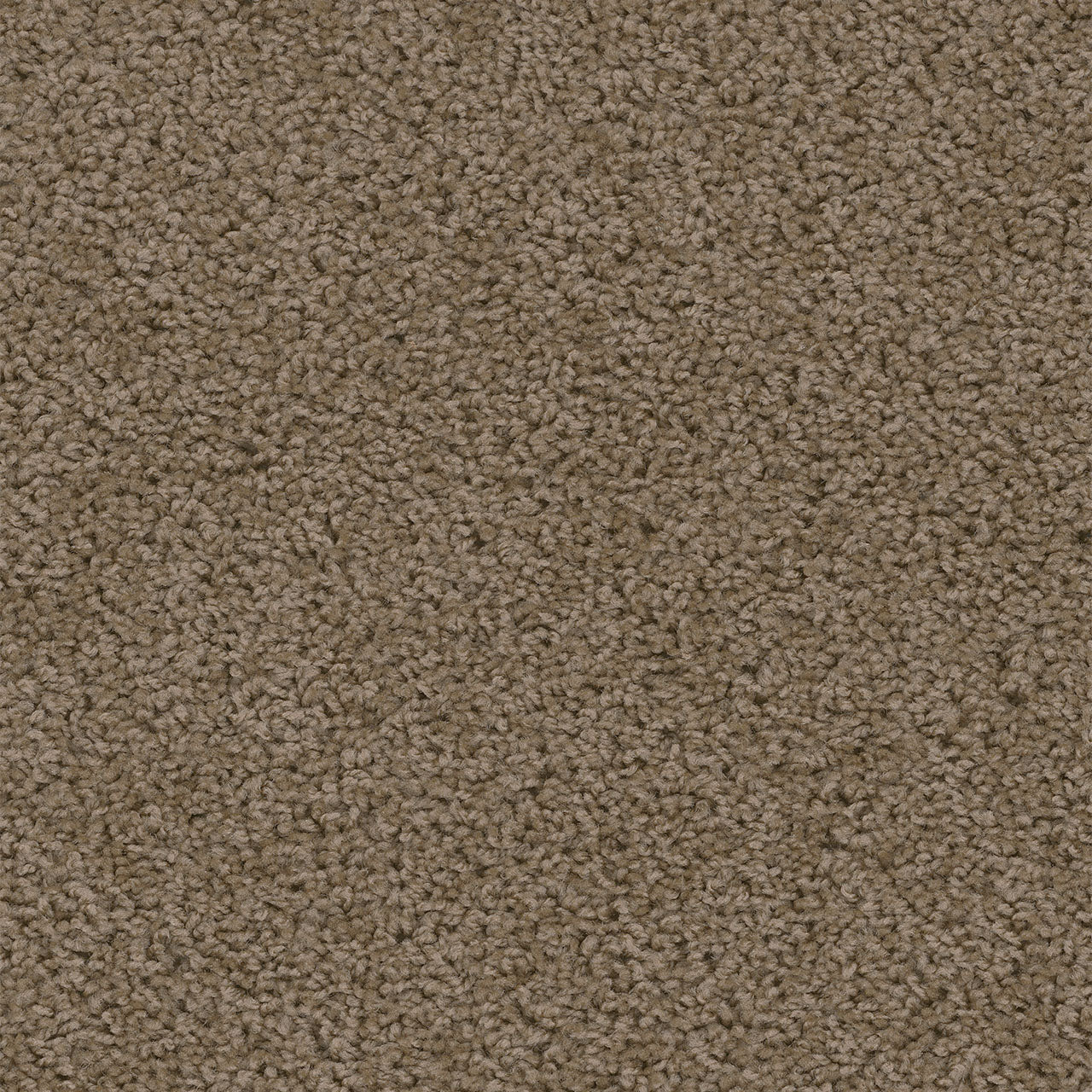 SWEEPSTAKES - Taupe