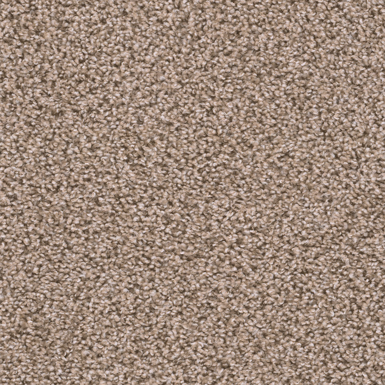 SWEEPSTAKES - Claystone