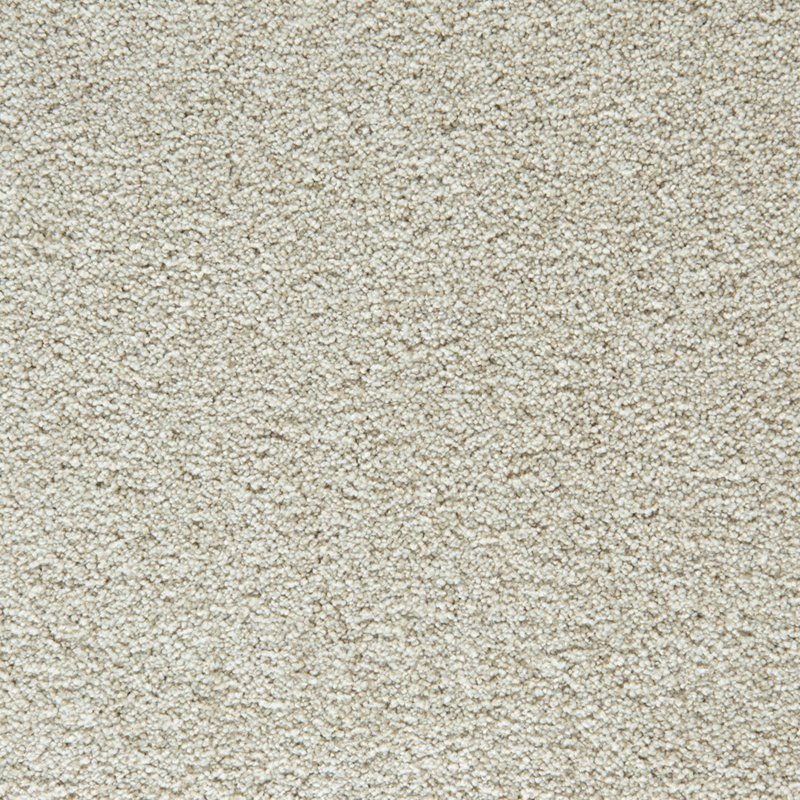 Mohawk Flooring Cozy Companion II