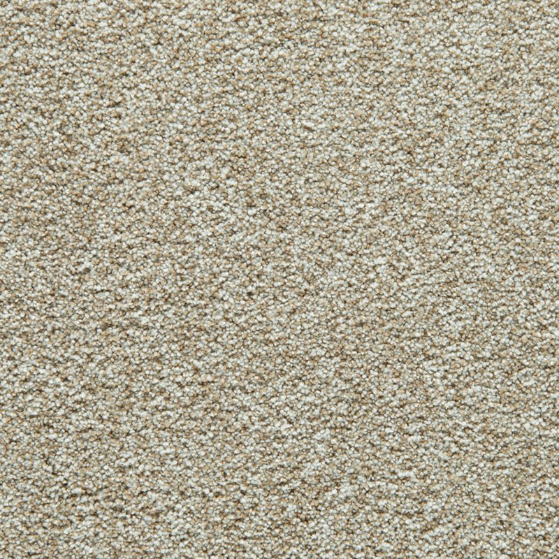 Mohawk Flooring Cozy Companion II