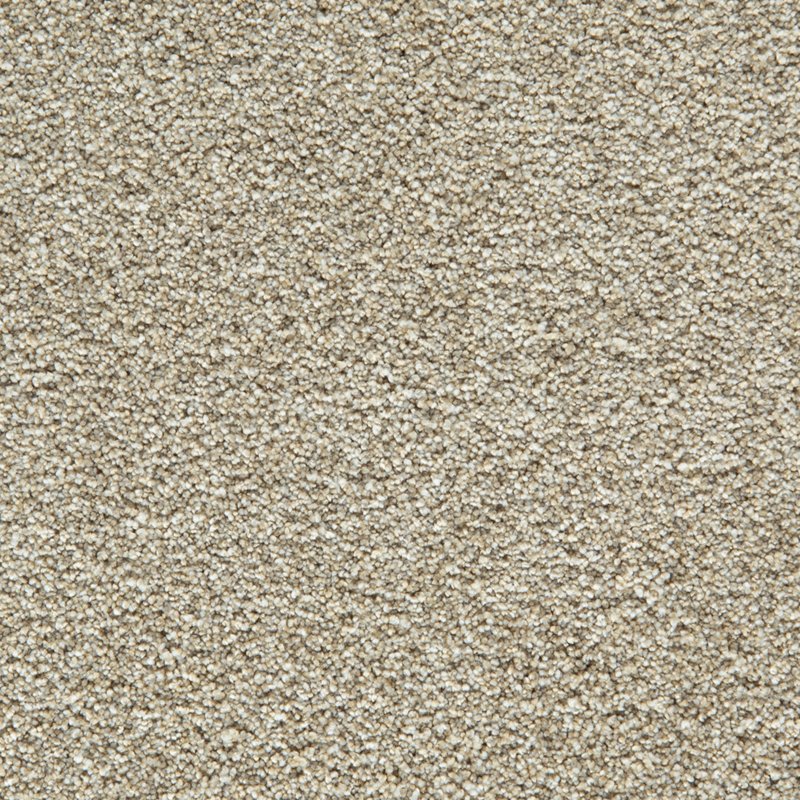 Mohawk Flooring Cozy Companion II