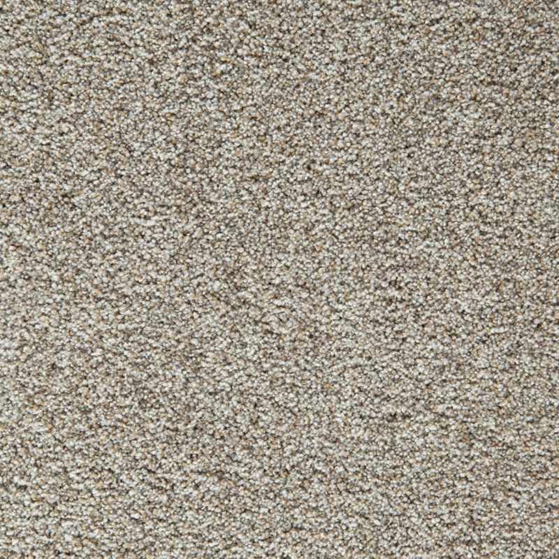 Mohawk Flooring Cozy Companion II