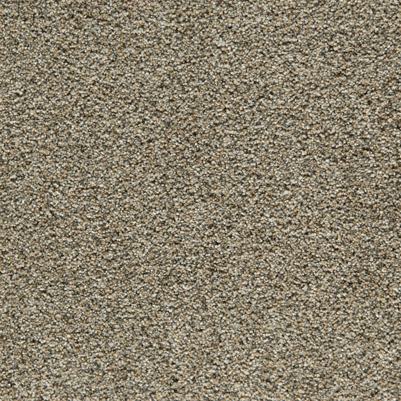 Mohawk Flooring Cozy Companion II