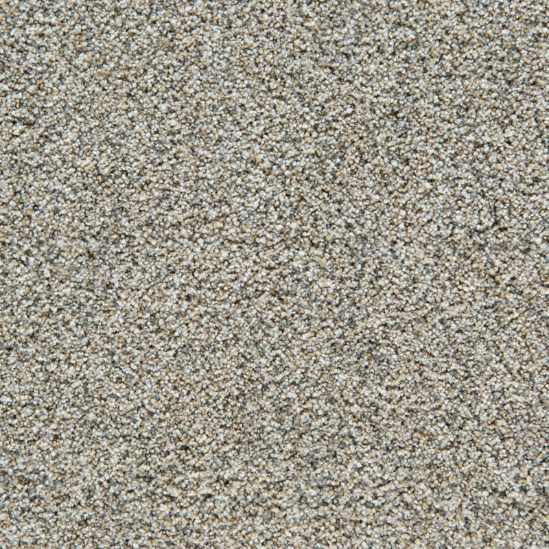 Mohawk Flooring Cozy Companion II