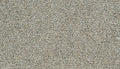 Mohawk Flooring Cozy Companion II