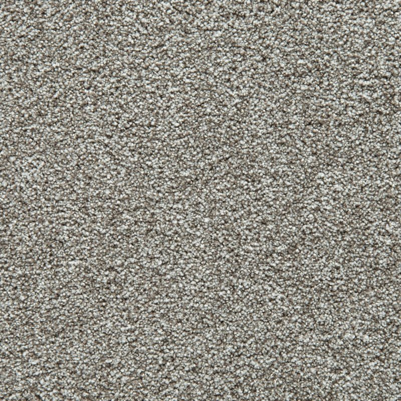 Mohawk Flooring Cozy Companion II
