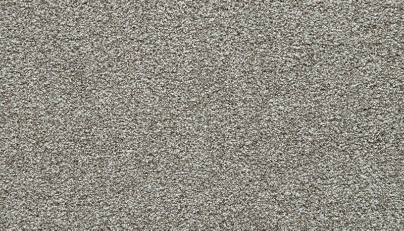 Mohawk Flooring Cozy Companion II