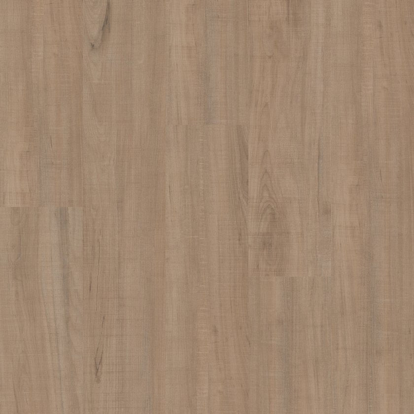 ANVIL PLUS 20 MIL CHATTER OAK MAIN