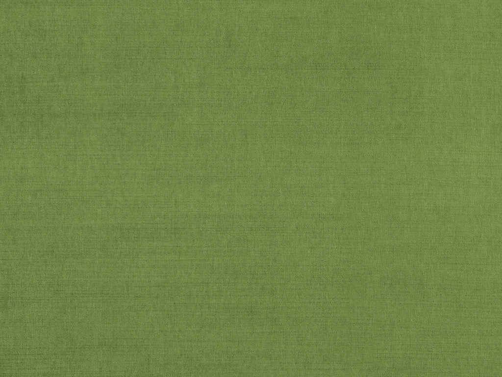 Boca-Palm