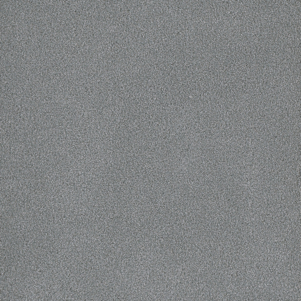 Palmetto III - Skylight