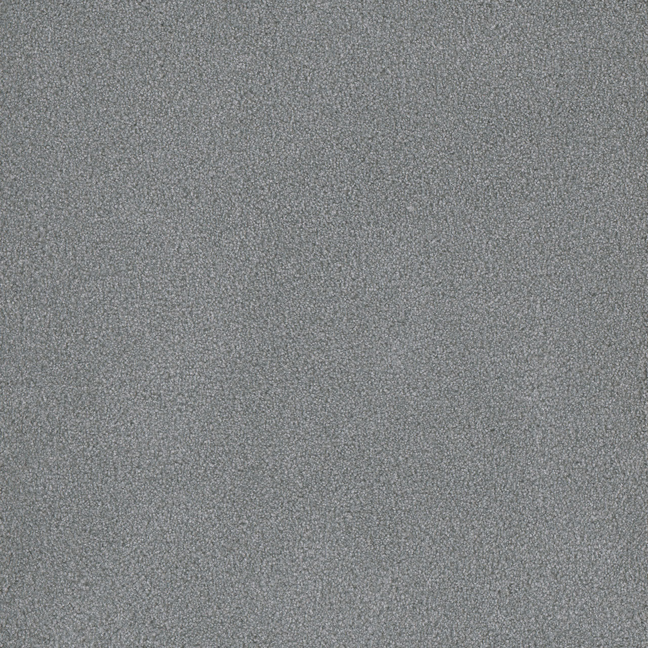 Palmetto III - Skylight