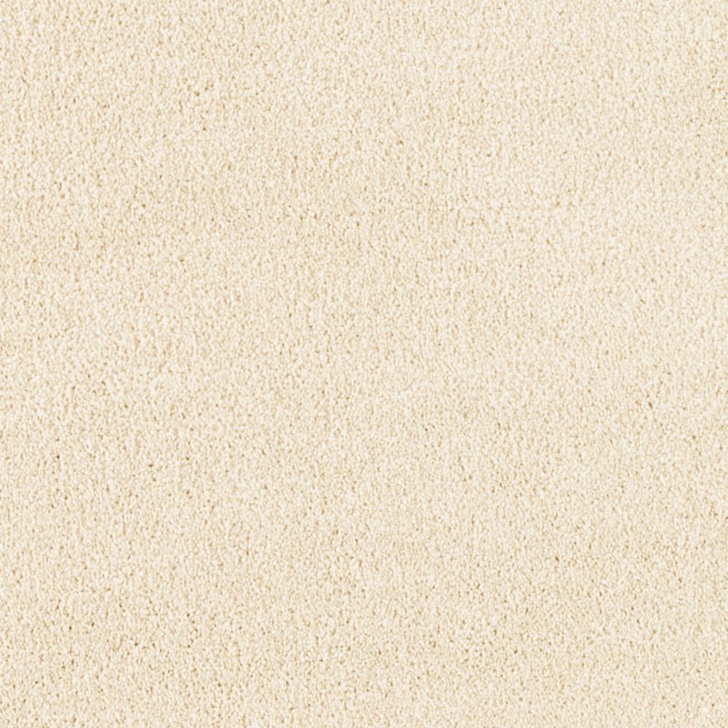 Mohawk Flooring Treasure Valley