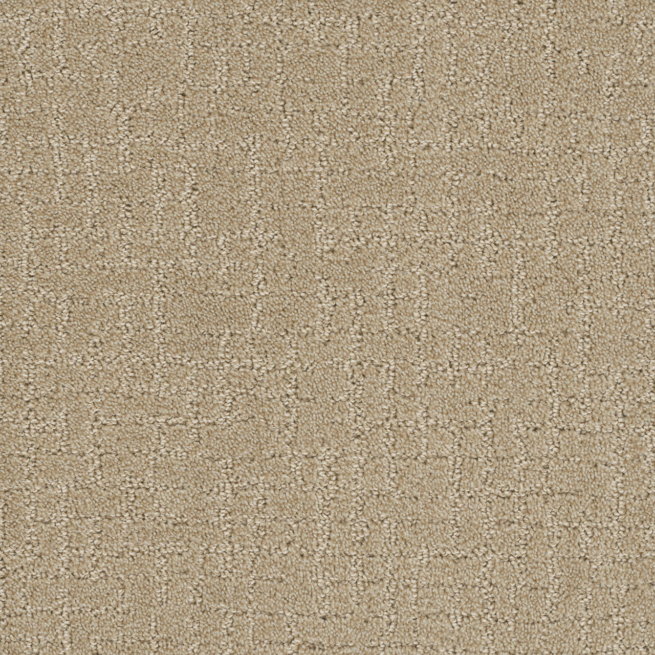 Modern Edge - Soft Pine